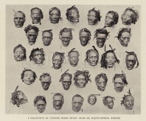 Coleção de cabeças Maori