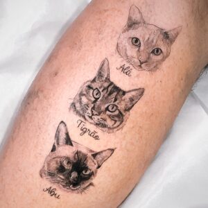 Tatuagens de gatos