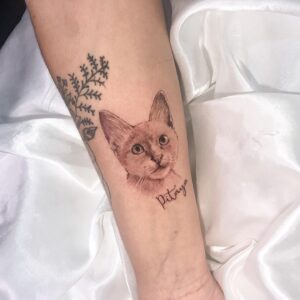 Tatuagem de realismo de um gato