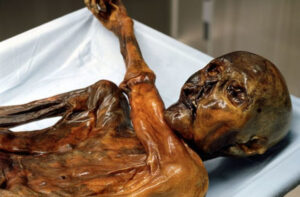 Ötzi: O Homem Tatuado Mais Antigo Do Mundo e Novas Descobertas Sobre Sua Vida Otzi o tatuado mais antigo do mundo