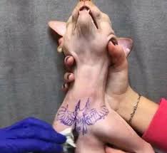 Lei proíbe tatuagem e piercing em animais