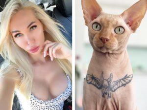 Tatuagem e piercing em animais viram crime