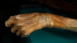 Otzi e suas tatuagens
